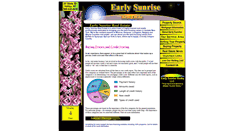 Desktop Screenshot of earlysunriserealty.org